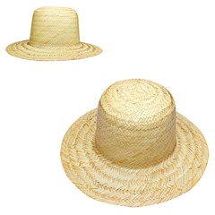 Chapeu junino brasilia adulto c022           cx:100
