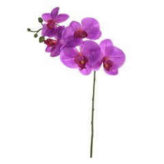 Flor orquidea toque real fucsia 55cm         cx:192