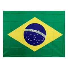 Bandeira*brasil tecido 90x130cm              cx:300