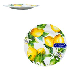 Prato de melamina raso 27.7x27.7x2.6cm       cx:072