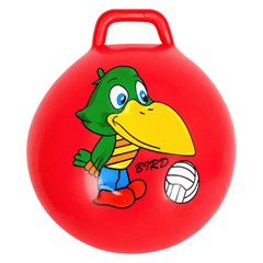 Bola pula pula desenhos sort 103cm            cx:048