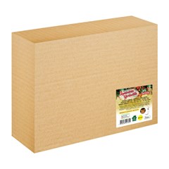 Luminaria borboleta led 41x25 c/movimento bivolt    cx:00006