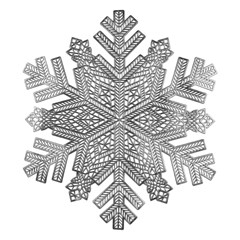 Lugar americano floco pvc 38cm          cx:0120