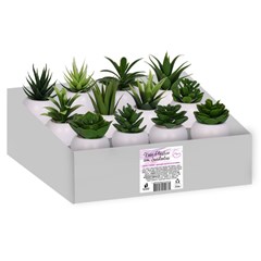 Vaso plast c/suculenta 10,5x5,5cm              cx:072