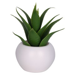 Vaso plast c/suculenta 10,5x5,5cm              cx:072