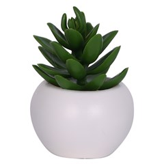 Vaso plast c/suculenta 10,5x5,5cm              cx:072