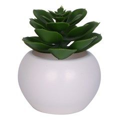 Vaso plast c/suculenta 10,5x5,5cm              cx:072