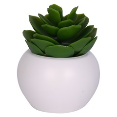 Vaso plast c/suculenta 10,5x5,5cm              cx:072