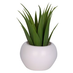 Vaso plast c/suculenta 10,5x5,5cm              cx:072