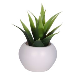 Vaso plast c/suculenta 10,5x5,5cm              cx:072