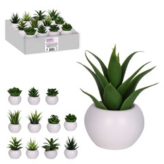 Vaso plast c/suculenta 10,5x5,5cm              cx:072