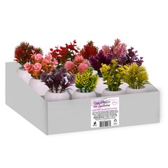 Vaso plast c/suculenta color 10x5,5cm          cx:072