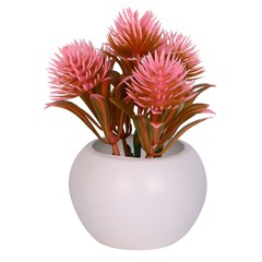 Vaso plast c/suculenta color 10x5,5cm          cx:072