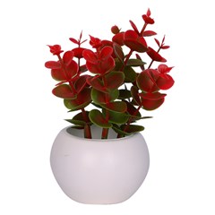 Vaso plast c/suculenta color 10x5,5cm          cx:072