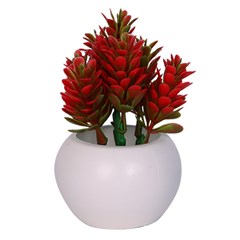 Vaso plast c/suculenta color 10x5,5cm          cx:072