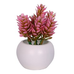 Vaso plast c/suculenta color 10x5,5cm          cx:072