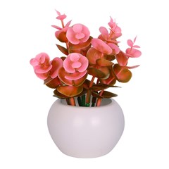 Vaso plast c/suculenta color 10x5,5cm          cx:072