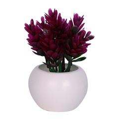 Vaso plast c/suculenta color 10x5,5cm          cx:072