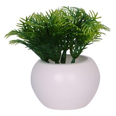 Vaso plast c/suculenta 10x5,5cm         cx:072