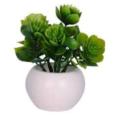 Vaso plast c/suculenta 10x5,5cm         cx:072