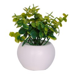 Vaso plast c/suculenta 10x5,5cm         cx:072