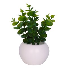 Vaso plast c/suculenta 10x5,5cm         cx:072