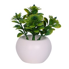 Vaso plast c/suculenta 10x5,5cm         cx:072