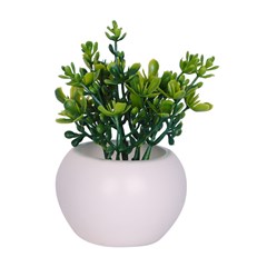 Vaso plast c/suculenta 10x5,5cm         cx:072