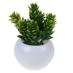 Vaso plast c/suculenta 10x6,5cm         cx:072