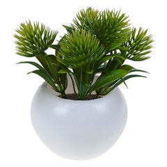 Vaso plast c/suculenta 10x6,5cm         cx:072