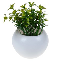 Vaso plast c/suculenta 10x6,5cm         cx:072
