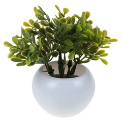 Vaso plast c/suculenta 10x6,5cm         cx:072