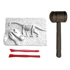 Dino fosseis                                 cx:072