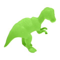 Dino fosseis                                 cx:072