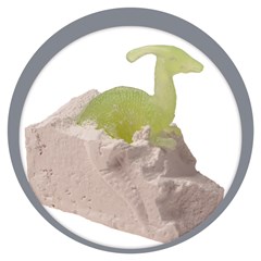 Dino fosseis                                 cx:072