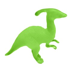 Dino fosseis                                 cx:072