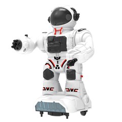 Robo c/som e luz                             cx:012