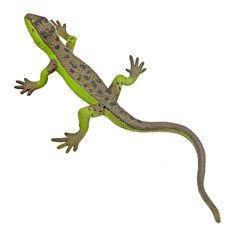 Animais emborrachados 20cm