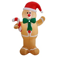 Biscoito inflavel 150cm bivolt               cx:002