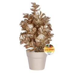 Arranjo decorativo metalizado c/vaso orquidea 22cm           cx:048