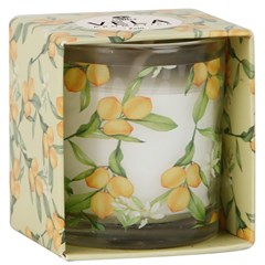 Vela aromatica                               cx:00144