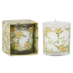 Vela aromatica                               cx:00144