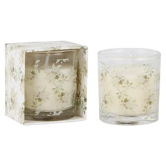 Vela aromatica                               cx:00144