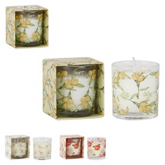 Vela aromatica                               cx:00144